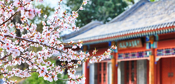 北京大学 - 流金歲月