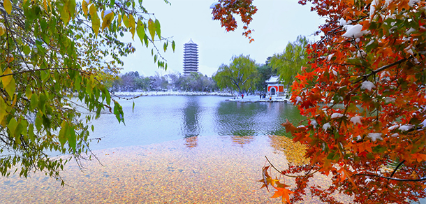 北京大学 - 流金歲月