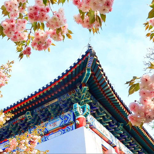 北京大学-最美校园