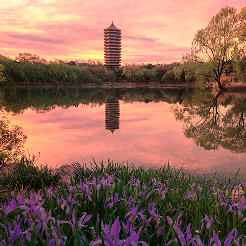 大學简介