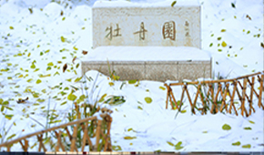 北京师范大学 - 学校简介