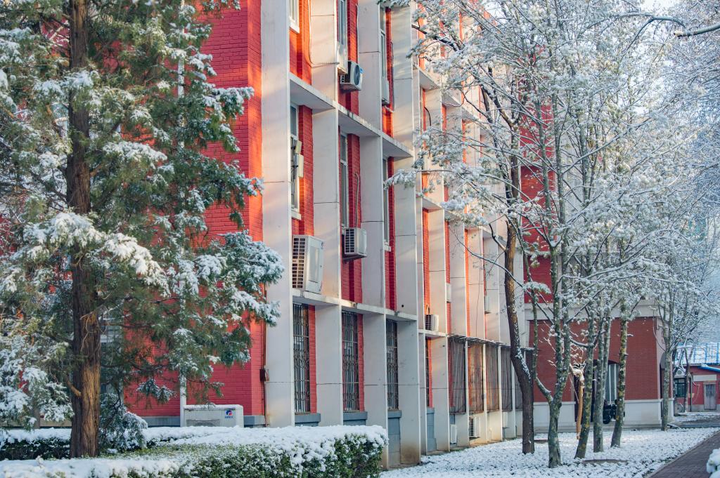 北京语言大学 早安青春