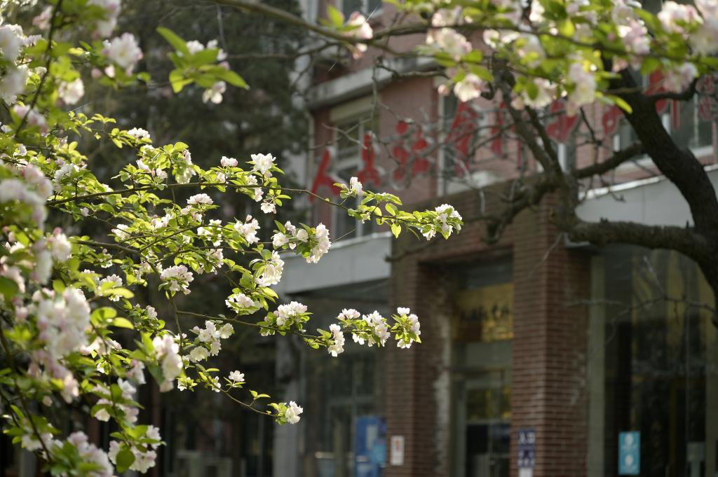 北京语言大学 我的大學