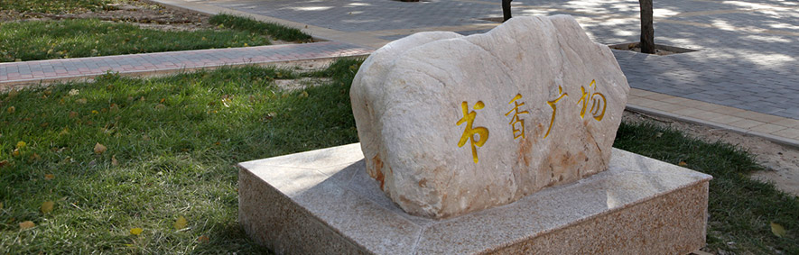 对外经济贸易大学 我的大學