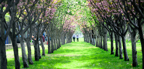 北京体育大学 - 流金歲月