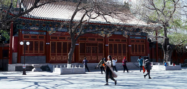 中央音乐学院 - 流金歲月