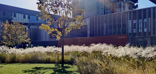 北京电影学院 - 流金歲月