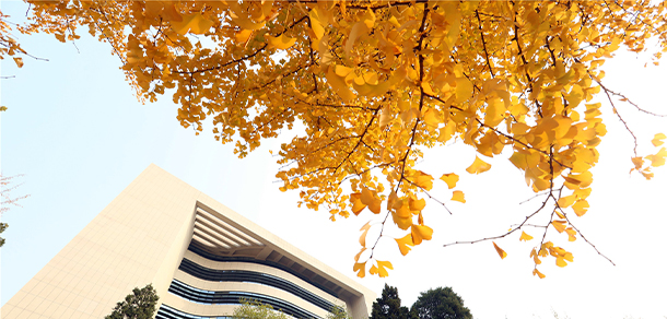 中国劳动关系学院 - 流金歲月