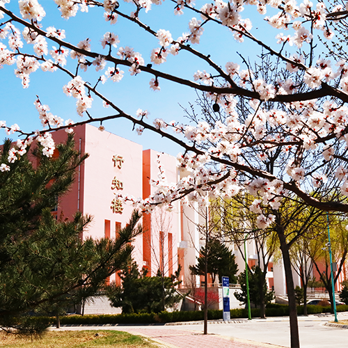 新生入学