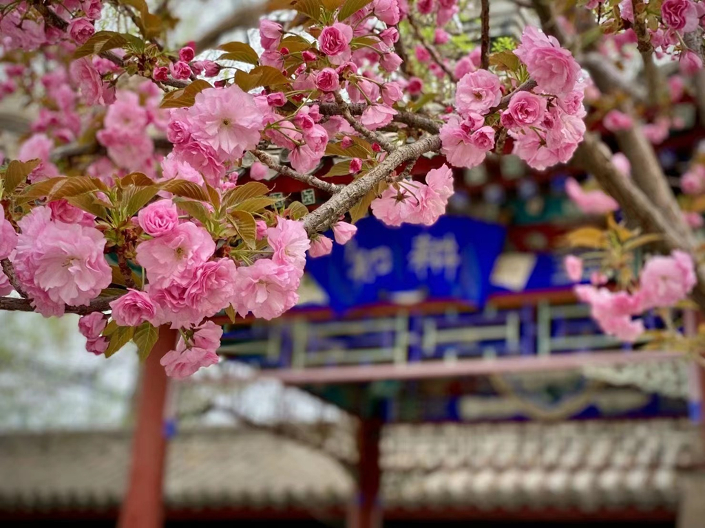 北京体育职业学院 早安青春