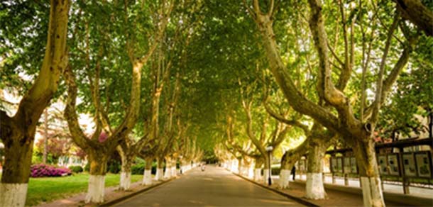 河海大学 - 流金歲月