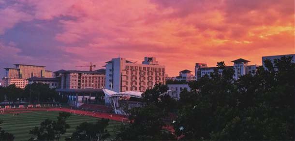 南京农业大学 - 流金歲月