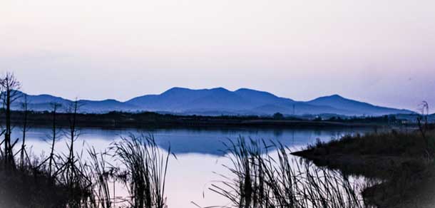 南京农业大学 - 流金歲月