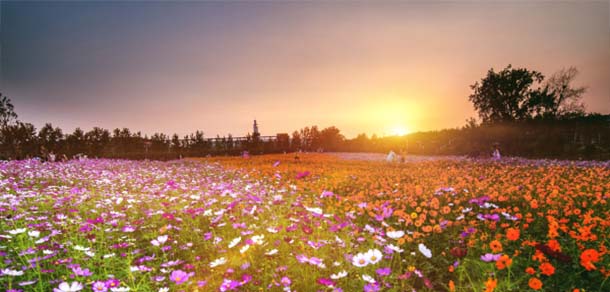 南京中医药大学 - 流金歲月