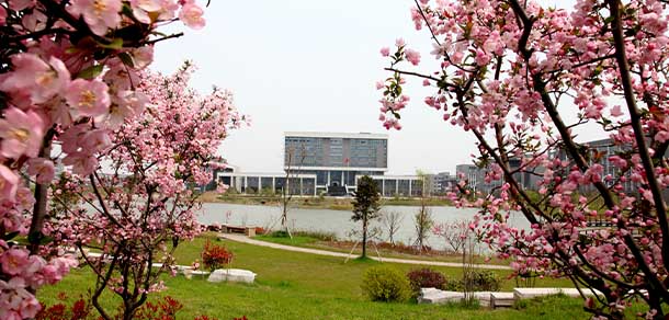 中国药科大学 - 流金歲月