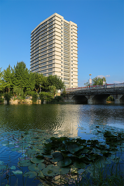 岁月流金 · 青春不散场