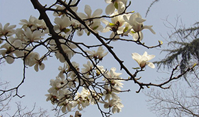 「 大學志 · 志中國 」