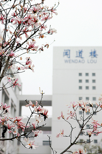 岁月流金 · 青春不散场