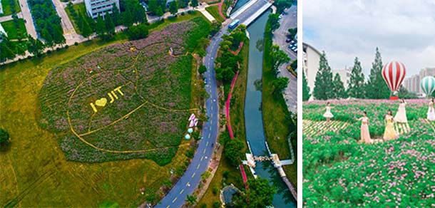 金陵科技学院 - 流金歲月