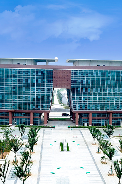 岁月流金 · 青春不散场