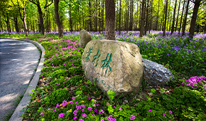 「 大學志 · 志中國 」