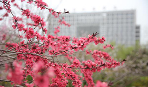 「 大學志 · 志中國 」