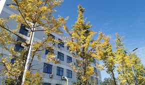 「 大學志 · 志中國 」