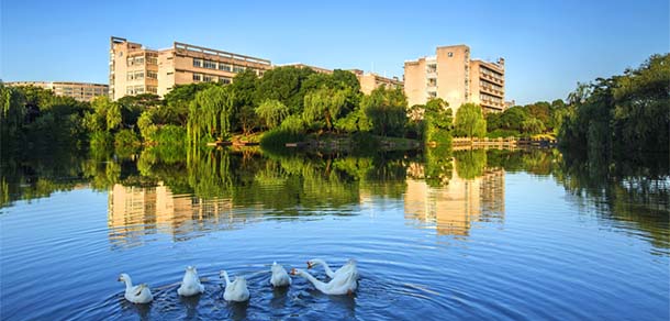 浙江财经大学 - 流金歲月