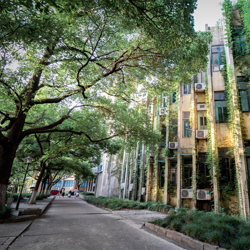 大學简介