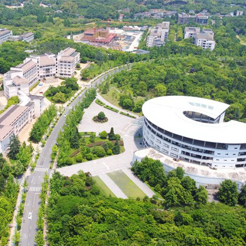 最美大學