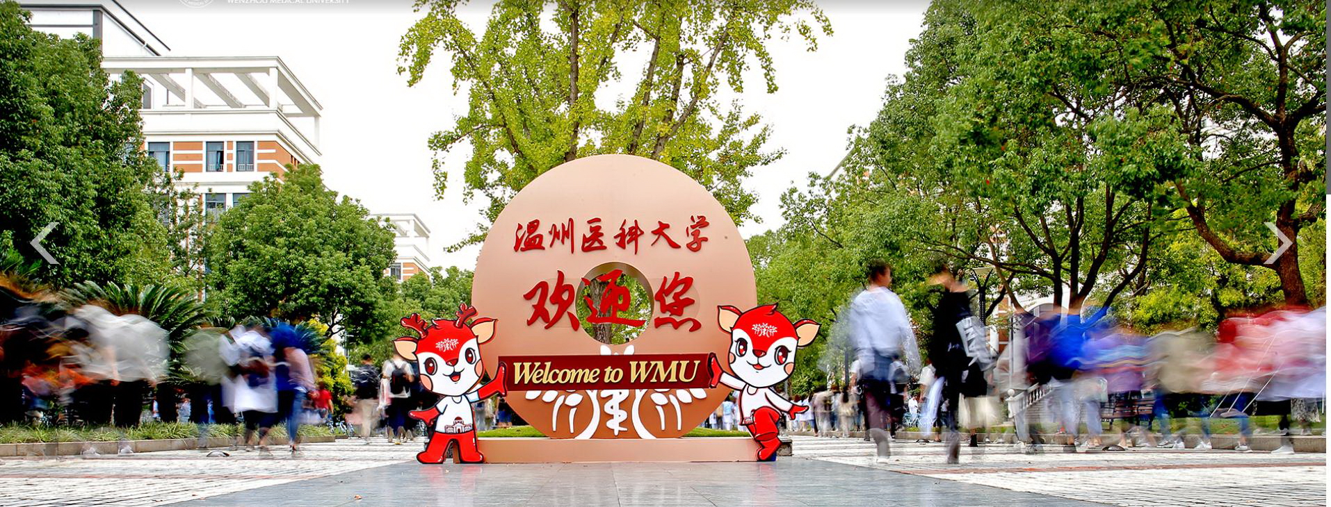 温州医科大学-校园风景