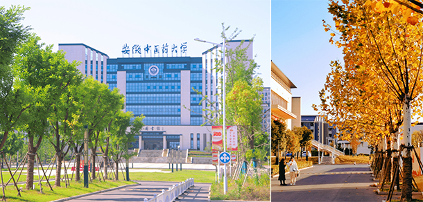 安徽中医药大学 - 流金歲月