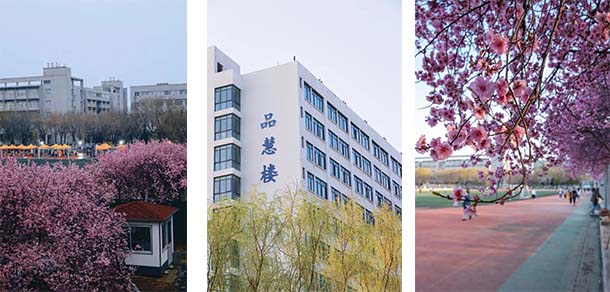 山东农业大学 - 流金歲月