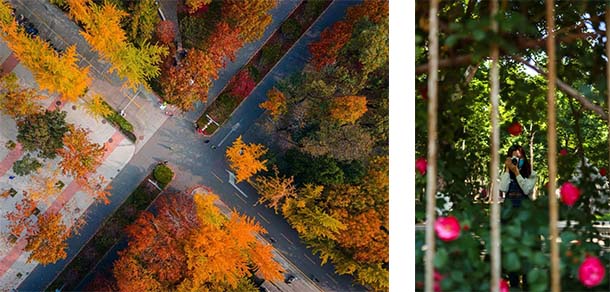 山东农业大学 - 流金歲月