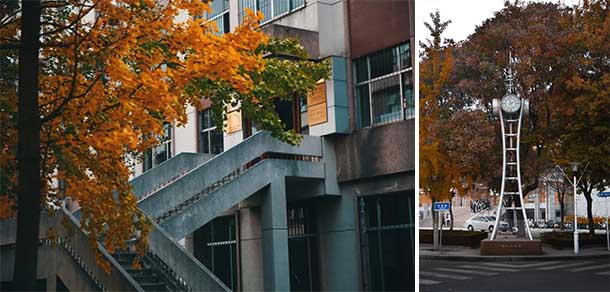 山东农业大学 - 流金歲月