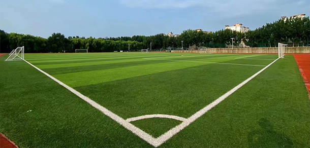 山东第一医科大学 - 流金歲月