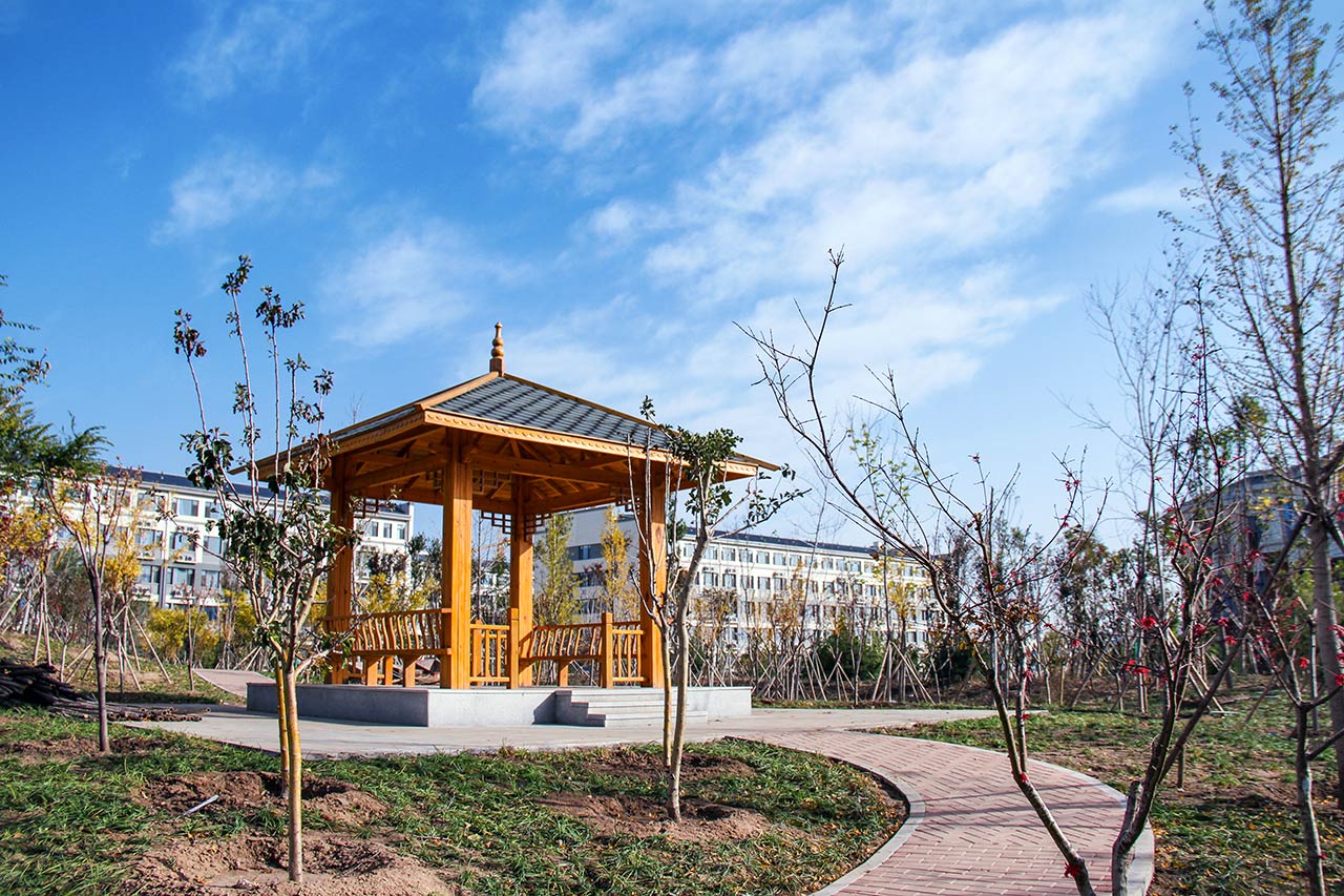 齐鲁医药学院 早安青春