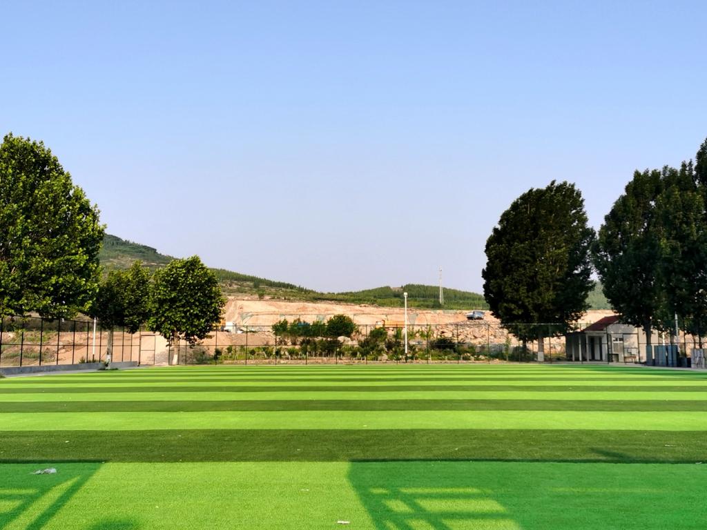 山东警察学院-校园风景