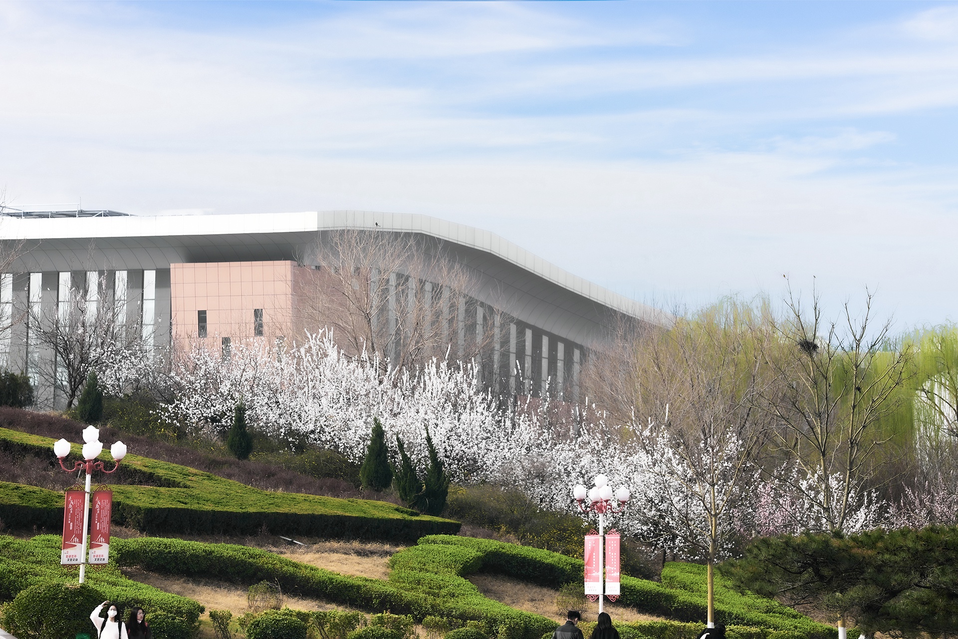 齐鲁理工学院 我的大學