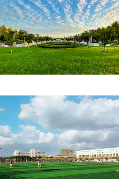 岁月流金 · 青春不散场