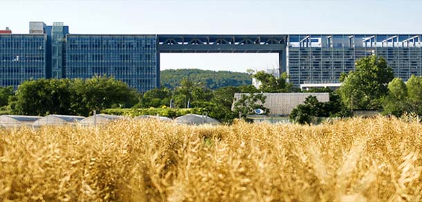 华中农业大学 - 流金歲月