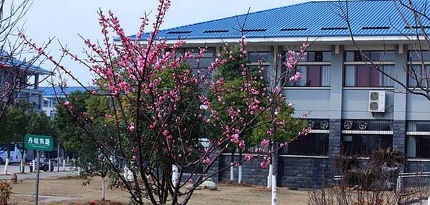 湖北中医药大学 - 流金歲月