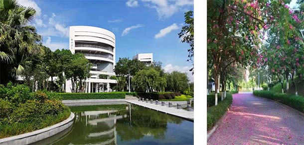 星海音乐学院 - 流金歲月