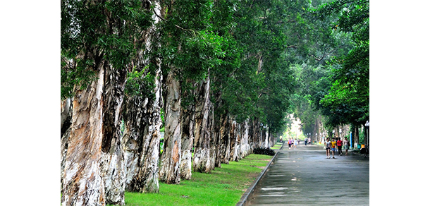 广东外语外贸大学 - 流金歲月