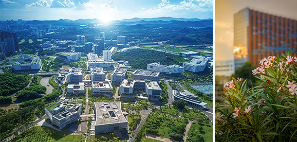 南方科技大学 - 流金歲月