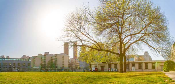 天津美术学院 - 流金歲月