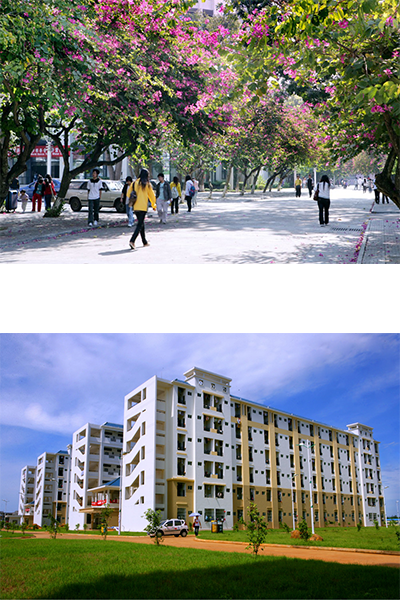 岁月流金 · 青春不散场