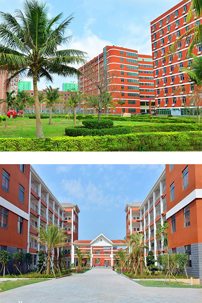 岁月流金 · 青春不散场