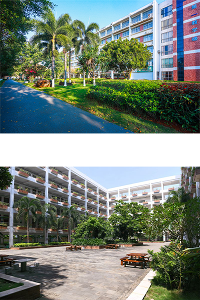 岁月流金 · 青春不散场