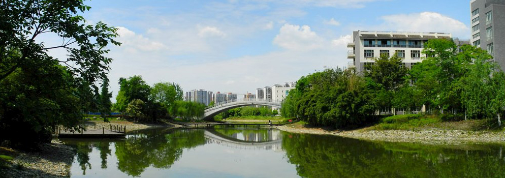 成都中医药大学 我的大學